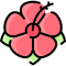 :hibiscus: