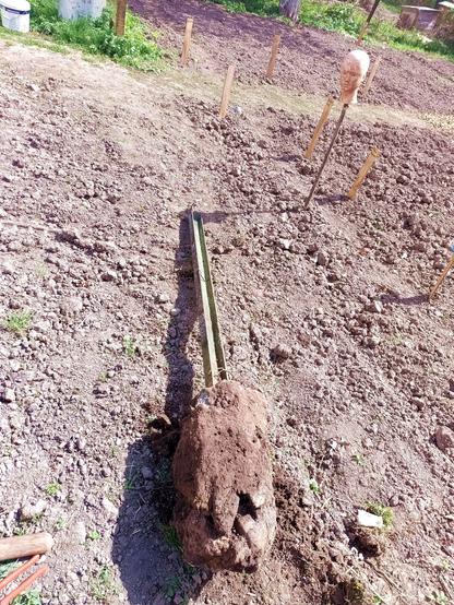 Fence post that help discover the weak link, now extracted from the ground, including a large piece of concrete cast in place with rocks on the bottom and some dirt on it. Bob the head on a stick is looking at it ponderously. Perhaps he considers a stick upgrade. It wouldn't fit you, Bob!