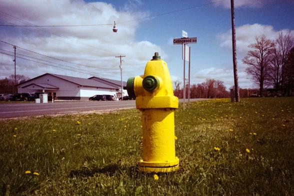 A yellow fire hydrant in a grassy field with yellow dandelions in the foreground and background.