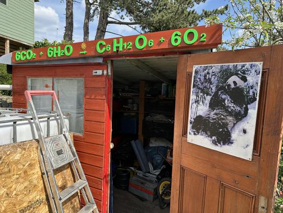 A shed with the chemical formula for photosynthesis over the door (6CO2 + 6H2O plus light gives C6H12O6 + 6O2). An aluminium stepladder leans up against a 100L water container. On the inside of the shed door there is a screenprinted picture of a giant panda in the snow, eating bamboo.