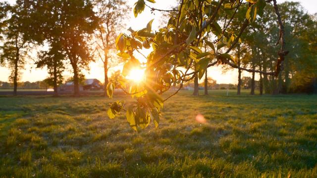 Sonnenuntergang