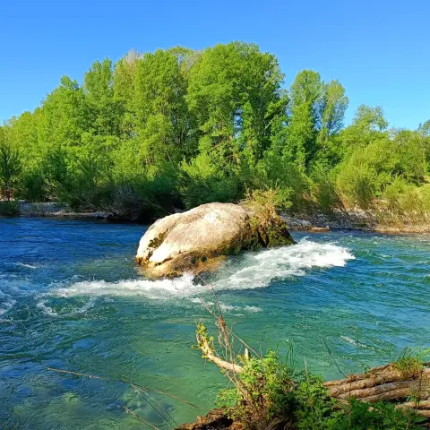 Le long de l'Hérault