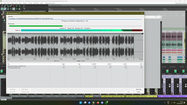 Screenshot of the rendering window of the Reaper DAW while rendering a track.