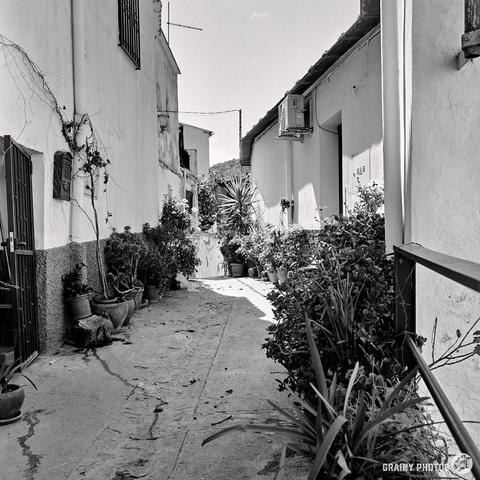 Narrow alleyway lined with potted plants on both sides. White buildings with barred windows and an air conditioning unit are visible. A mountain in the background under a clear sky