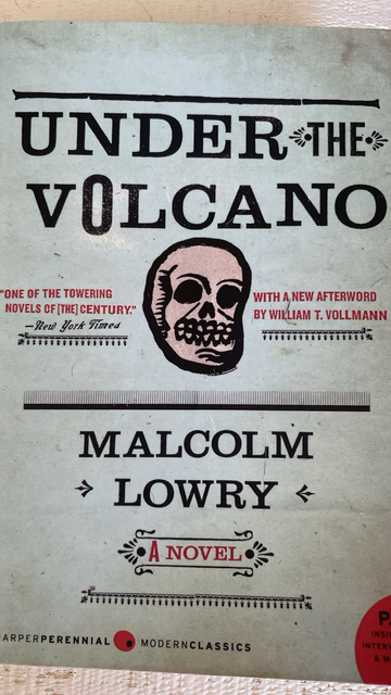 Book cover featuring a small illustrated skull