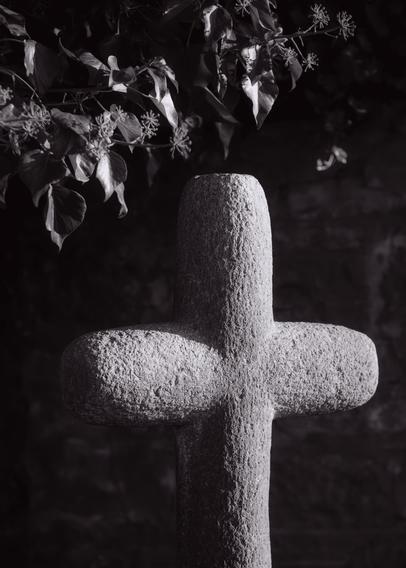 +

Gravestone cross and ivy in low sunlight