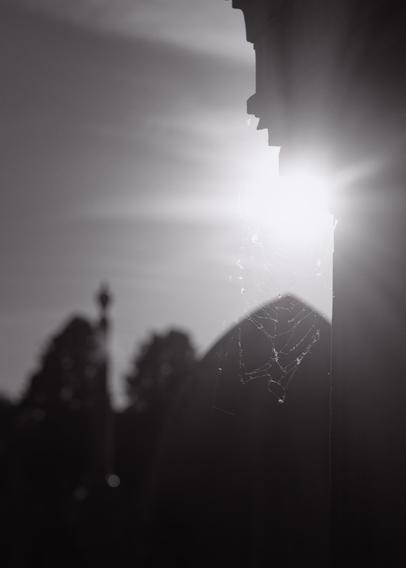 Web