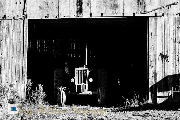 Nose of an old tractor poking out of the door of an old barn with the rest in shadow.