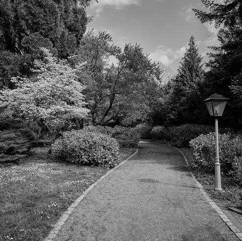 Ein Weg durch einen Park. Man siegt rechts eine alte Laterne sowie rechts und links vom Weg viele Bäume un Sträucher. Der Weg geht in eine Kurve und man kann nicht sehen was dahinter ist.