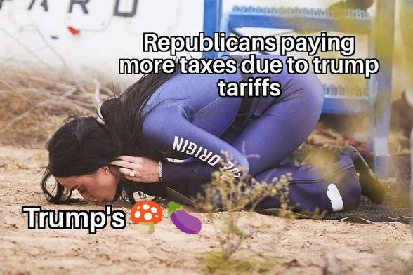 a picture of Katy Perry kissing the ground after her space with a caption on her saying "republicans paying more taxes due to trump tariffs" and a caption on the ground she's kissing saying "Trump's 🍄🍆"