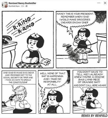 The Orange One finally tells the truth to Nancy