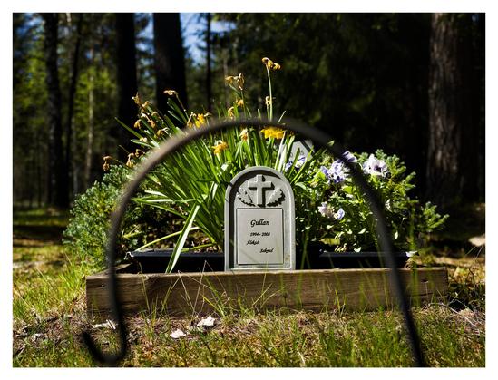 En liggande bild på en grav åt ett husdjur. På den lilla grå stenen står ett kristet kors, ett par löv och ”Gullan 1994 - 2008 Älskad Saknad”. Det är många blommor på graven.