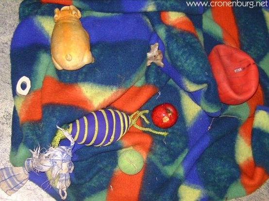 Art made by a real dog. A coloured wool blanket in blue, yellow, green and orange. The dog has placed his toys: an orange ball without air, something blue-yellow, a tennis ball, a tea towel with a knot, a plastic pig - and also his favourite bones. It's photographed from above and looks like abstract art.