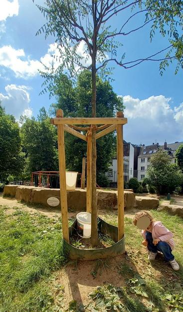 Ein Baumstamm auf einem Schulhof. Ein Plastikring ist um den Stamm gestellt. In dem Ring steht ein weißer ehemaliger Farbeimer. Ein kleines Kind schaut interessiert zu.
