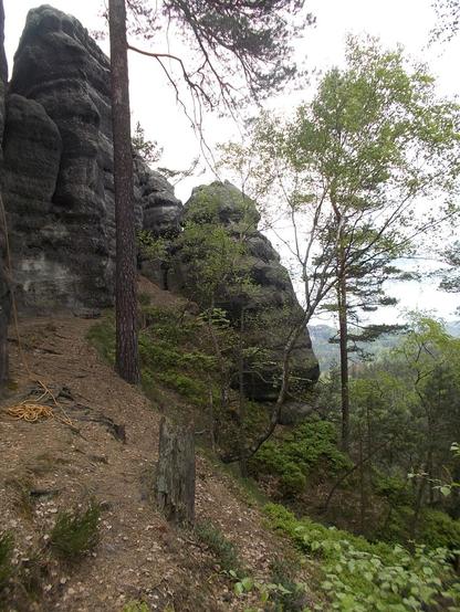 Sandstein-Felsen in der Sächsischen Schweiz