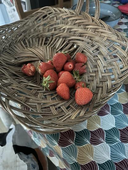 A small picking of strawberries in a flat collecting basket