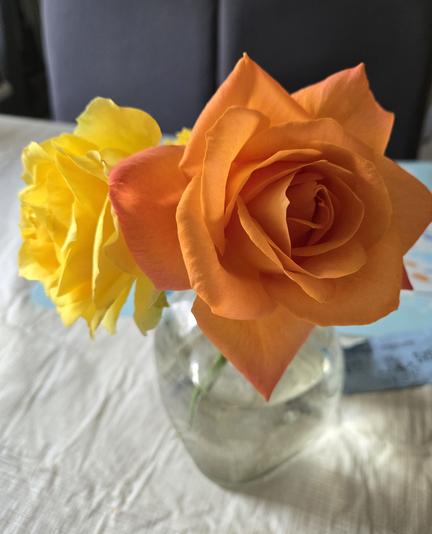 Orange and yellow roses in a vase on a table.