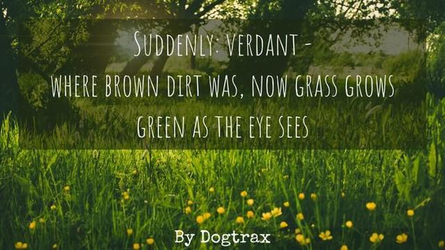 poem with image of a green field

Suddenly: verdant -
where brown dirt was, now grass grows
green as the eye sees