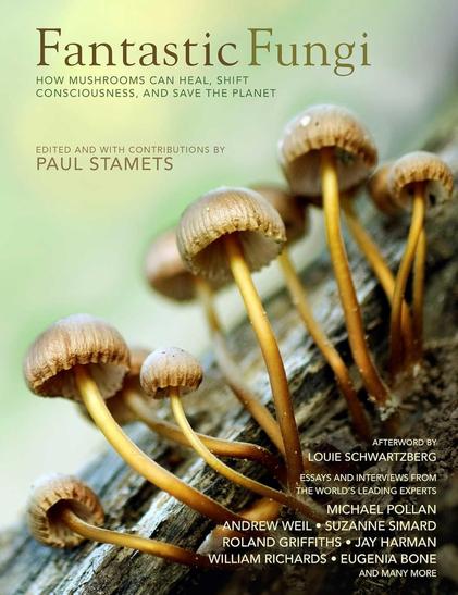 Book Cover
Fantastic Fungi
Paul Stamets