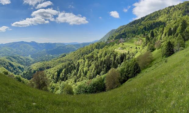 Grass meadow in foreground; tree-clad mountains in background under blue sky