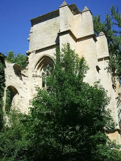 The image appears to show an old stone structure, likely part of a castle or a church, that has fallen into disrepair. The walls feature architectural details, such as a window with intricate designs. Surrounding the structure are trees and greenery, suggesting that nature is reclaiming the area. The sky above is clear and blue, indicating a bright day.

Image Credits: Wikimedia / Zarateman / CC0