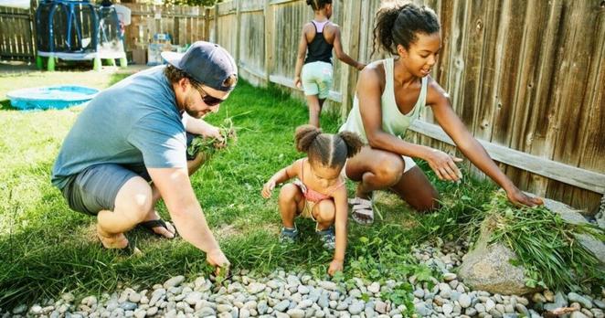 Gardeners urged to put pebbles on their lawn to make a big difference
