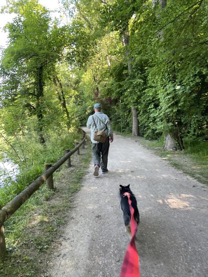 a man & dog behind him are walking away from you down a path. green trees of different varieties line the both sides of the path. the dog has a red lead reaching back to the viewer.