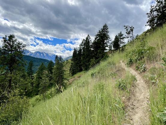 A narow light brown path hugging the side of a sloping grassy hill. Conifers, mountains, and dark clouds in the distance.