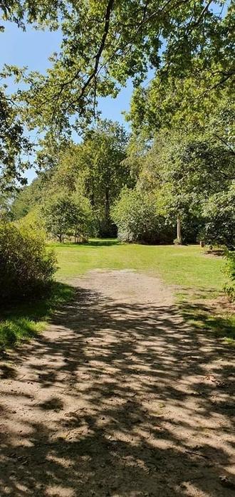 Staand beeld. Op de voorgrond schaduwvlekken op een zonnig zandpad. Het pad gaat verderop over in een grasveld. Het nodigt uit om verder te lopen, naar de opening in de begroeing.
Er is linksboven een stukje lichtblauwe lucht te zien. Het is zomer en mooi weer.