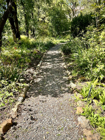 There’s a pebbled, well-marked path in the middle of the frame. On both sides of it, there are lots of green plants and trees casting shade in the path. It’s a sunny day.