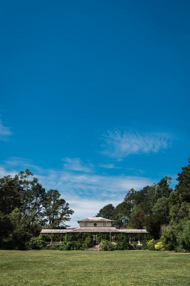 a building covered in vegetation, beneath a mostly clear, blue sky