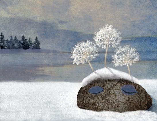 Pine trees line the distant shore of a lake, backlit against a stormy blue-gray sky. In the foreground, on a snowy bank, a solitary stone rests. Upon its face, two closed eyes and a linear pattern of foliage. Atop its gray head, a bit of snow and white, ghost-like blooming flowers from memories past. NOTE: This description created especially for my lovely blind friend, Georgiana. :-)