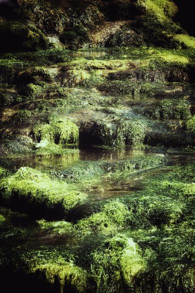 A close-up vertical shot of water flowing down moss-covered rocks, creating small cascades and pools. The green moss is vibrant, contrasting with the darker tones of the wet rock.