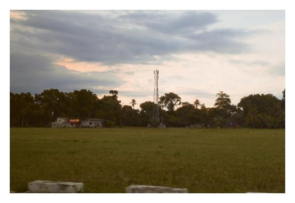 This image captures a rural landscape. In the foreground, a vast green field, possibly a rice paddy, stretches across the lower half of the frame. In the midground, a cluster of trees, including what appear to be palm trees, creates a natural barrier. Nestled among these trees on the left side, few houses with light colored roof and walls is visible.

Dominating the center of the image, and rising above the treeline, is a tall, slender telecommunications tower. - Google Gemini