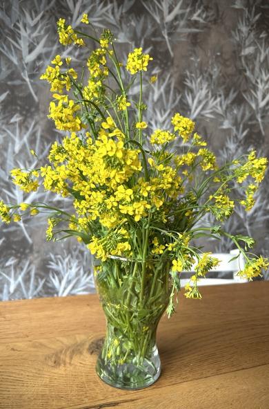 Potvolblomme!