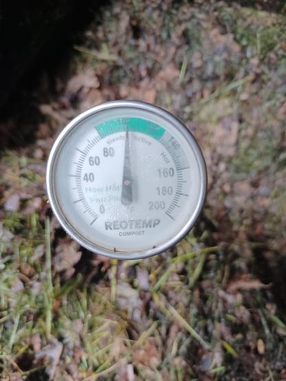 A dial type compost thermometer stuck in to a mixture of grass clippings and shredded leaves.  Thermometer indicates a temperature of 100°F (38°C)