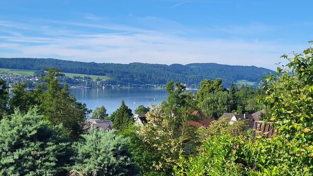 Blick über Bäume auf den See. Der Himmel ist blau, leichte Schleierwolken am Horizont. Im Hintergrund ein Höhenzug mit einem Dorf, Wiesen und Wäldern.