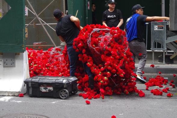 A worker trying to wrestle with roses in net bags, another looking into the truck that they just unloaded the roses from. Some roses can be seen littered on the street.