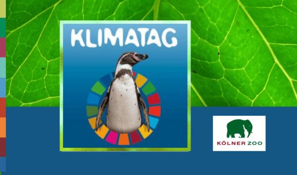 Das Bild zeigt ein Logo mit dem Titel "KLIMATAG" in großen, weißen Buchstaben auf einem blauen Hintergrund. Im Zentrum des Logos steht ein pinguin, umgeben von einem Kreis aus bunten Segmente, die an eine SDG-Farbkreisdiagramm erinnern. Der Hintergrund des Logos ist blau. Im unteren rechten Bereich des Bildes befindet sich das Logo des "Kölner Zoos" mit einem grünen Elefanten und dem Schriftzug "Kölner Zoo" in roten und schwarzen Buchstaben. Der Hintergrund des Bildes ist grün und zeigt eine Blatt- oder Pflanzenblatt-Textur.