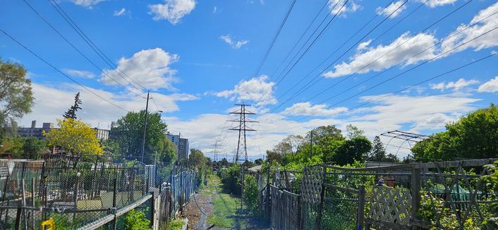 a row of allotment gardens in a hydro field