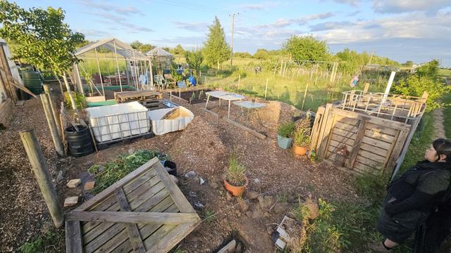 View of an "under construction" allotment plot from the front left. Piles of wiodchip. A cut in half IBC, a greenhouse, other allotmenty stuff.