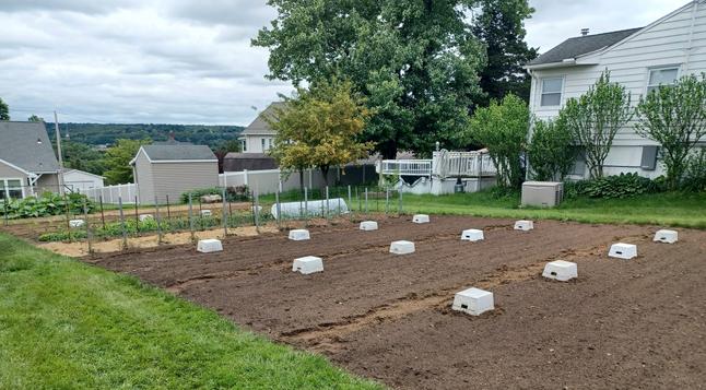 A large garden plot measuring 40x120 feet (12x36 meter). In the front can be seen three rows of white plastic totes that are covering butternut squash, cucumbers, and yellow squash plants.  There is a clump of six plants under each tote.  In the back is another row of totes covering the zucchini plants.  Various neighbor's houses in the background and in the distance, the hill on the other side of the river.  Overcast skies.