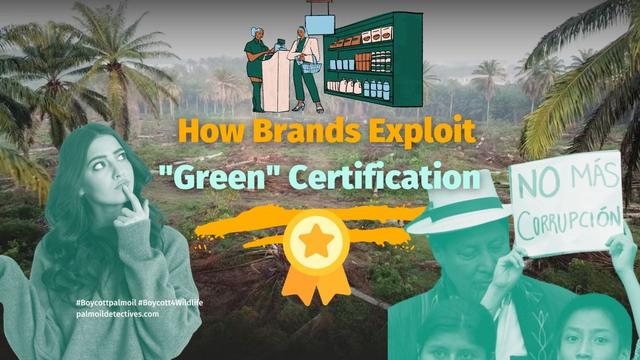 How Brands Exploit Green Certification