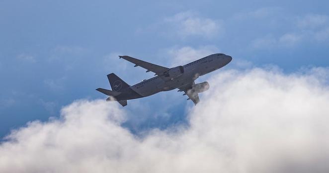 Wie kann ein Passagier die Umweltauswirkungen des Fliegens kompensieren?