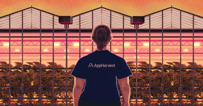 illustration for appharvest copublish with grist illustration for appharvest copublish with grist