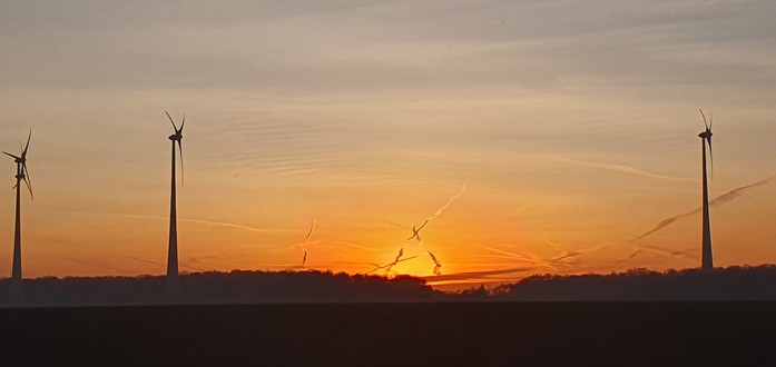Sonnenaufgang zwischen den Windrädern. Farbenprächtig gelb-organge-gelbblaugrau.
Matze