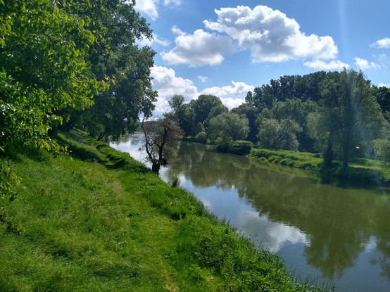 Flusslandschaft. Der Fluss ist in der rechten Hälfte des Bildes, daneben jeweils Natur mit Gras und Bäumen. Dazu blauer Himmel und Wolken.