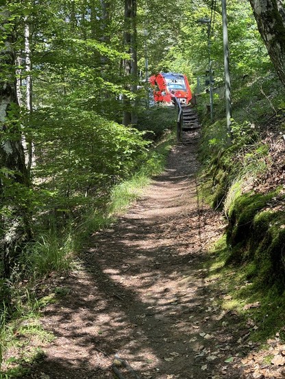 Ein steiler Fußpfad im Wald, oben steht eine rote Regionalbahn am Bahnhof