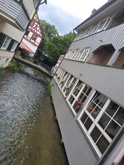 Das Fischerviertel in Ulm. Links und rechts Häuser die an durchfießenden Bächen stehen