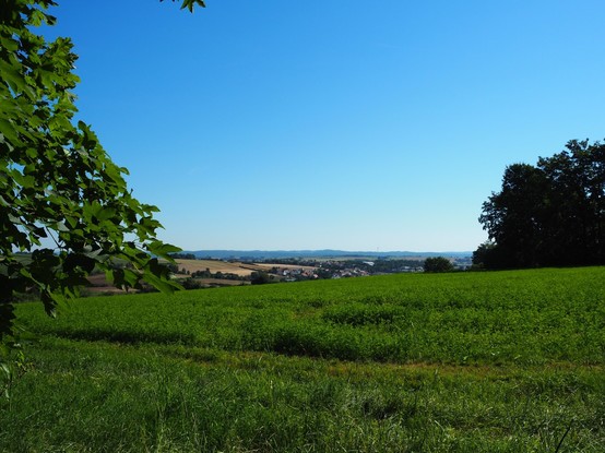 Landschaftsaufnahme. Vorne grünes Gras, im Hintergrund weit entfernt Ackerflächen und einzelne Häuser. Blauer Himmel. Rechts ein kleines Wäldchen, links ein Strauch.
